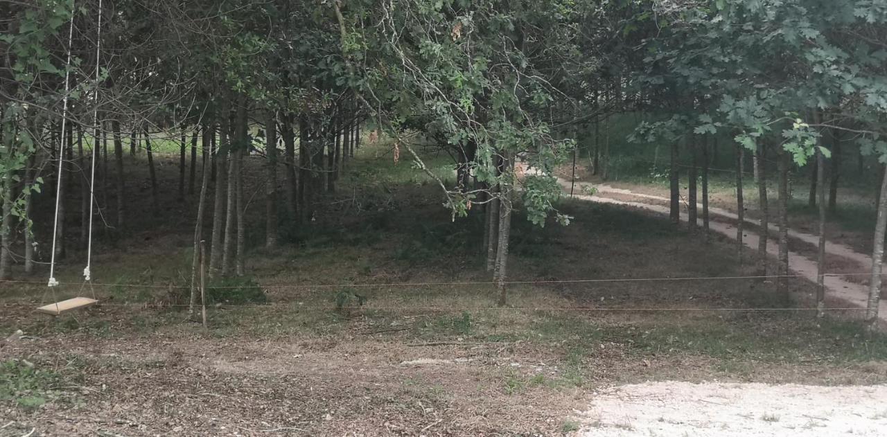 Villa Quinta Do Soldado Albergaria-a-Velha Esterno foto