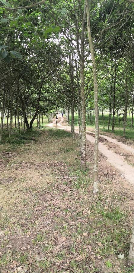 Villa Quinta Do Soldado Albergaria-a-Velha Esterno foto