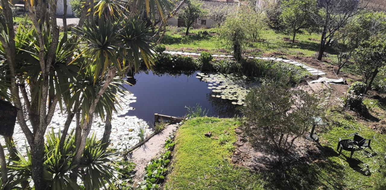 Villa Quinta Do Soldado Albergaria-a-Velha Esterno foto