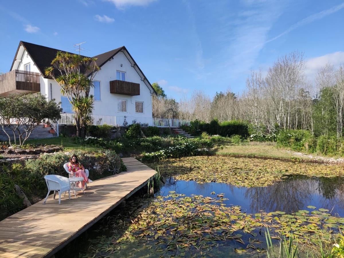 Villa Quinta Do Soldado Albergaria-a-Velha Esterno foto