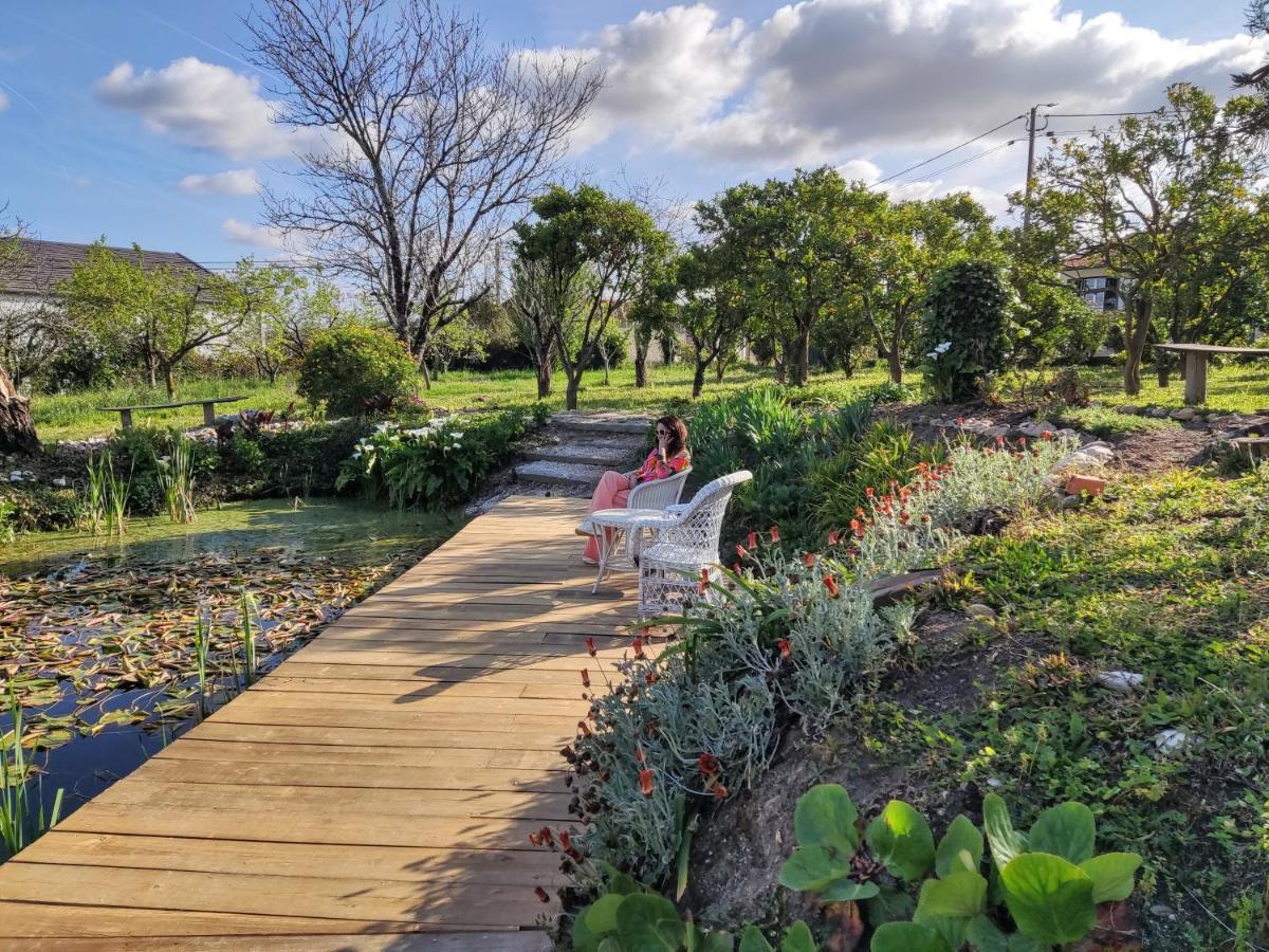 Villa Quinta Do Soldado Albergaria-a-Velha Esterno foto