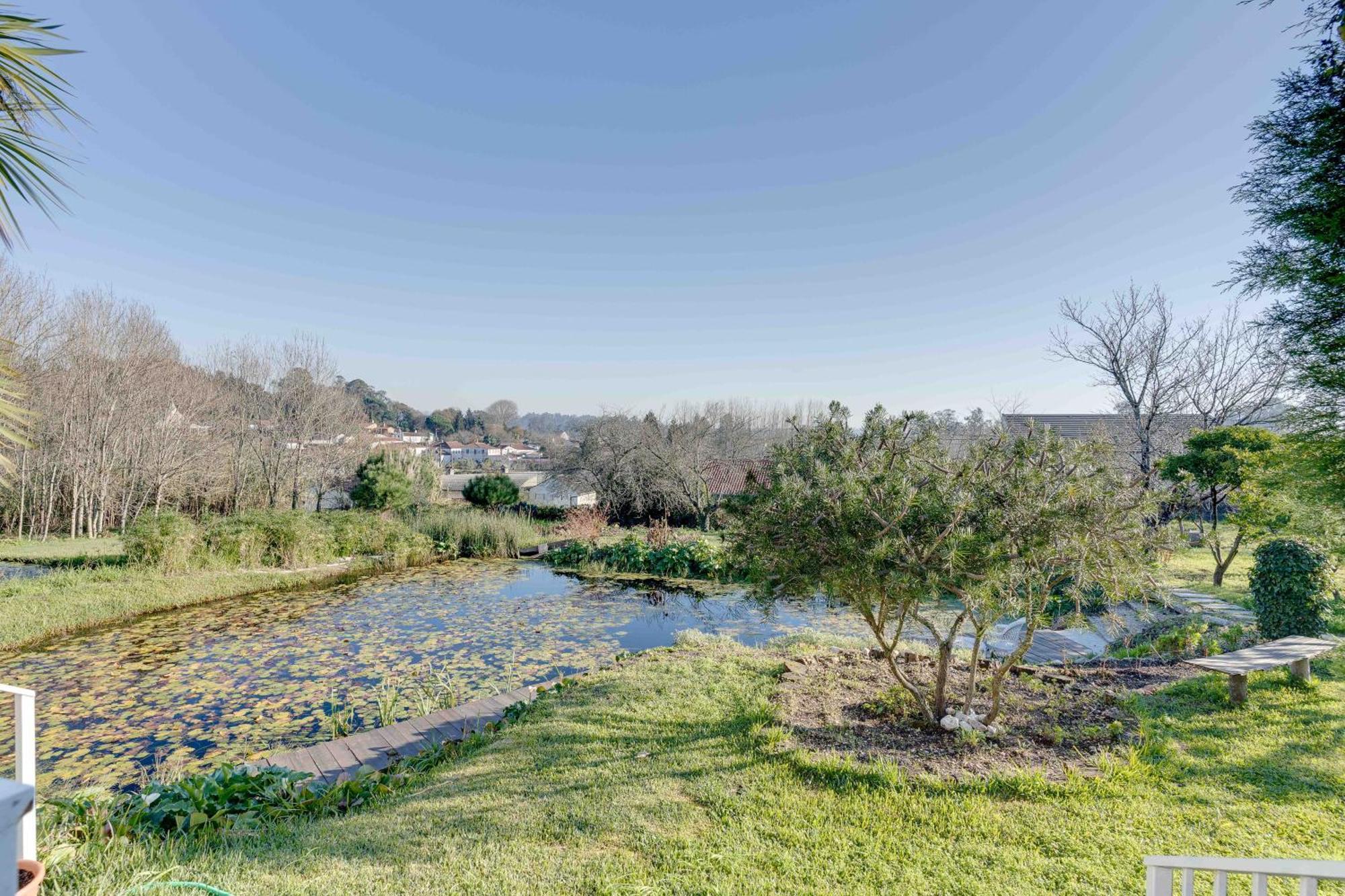 Villa Quinta Do Soldado Albergaria-a-Velha Esterno foto